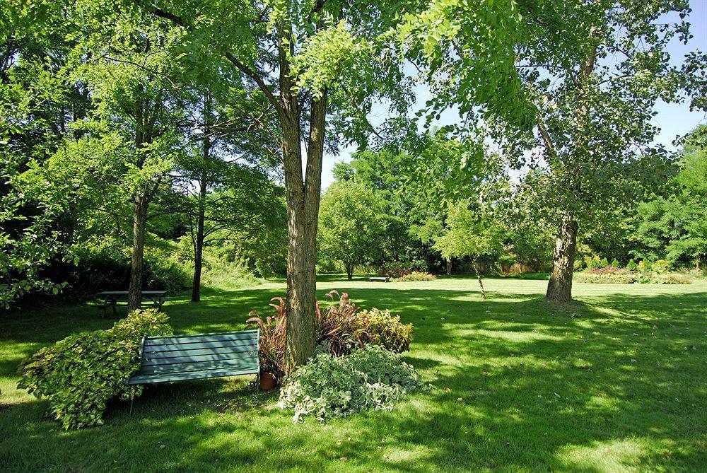 Inn Comfort Simcoe